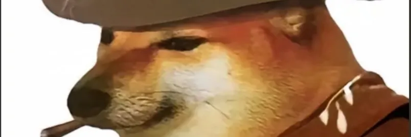 风臣